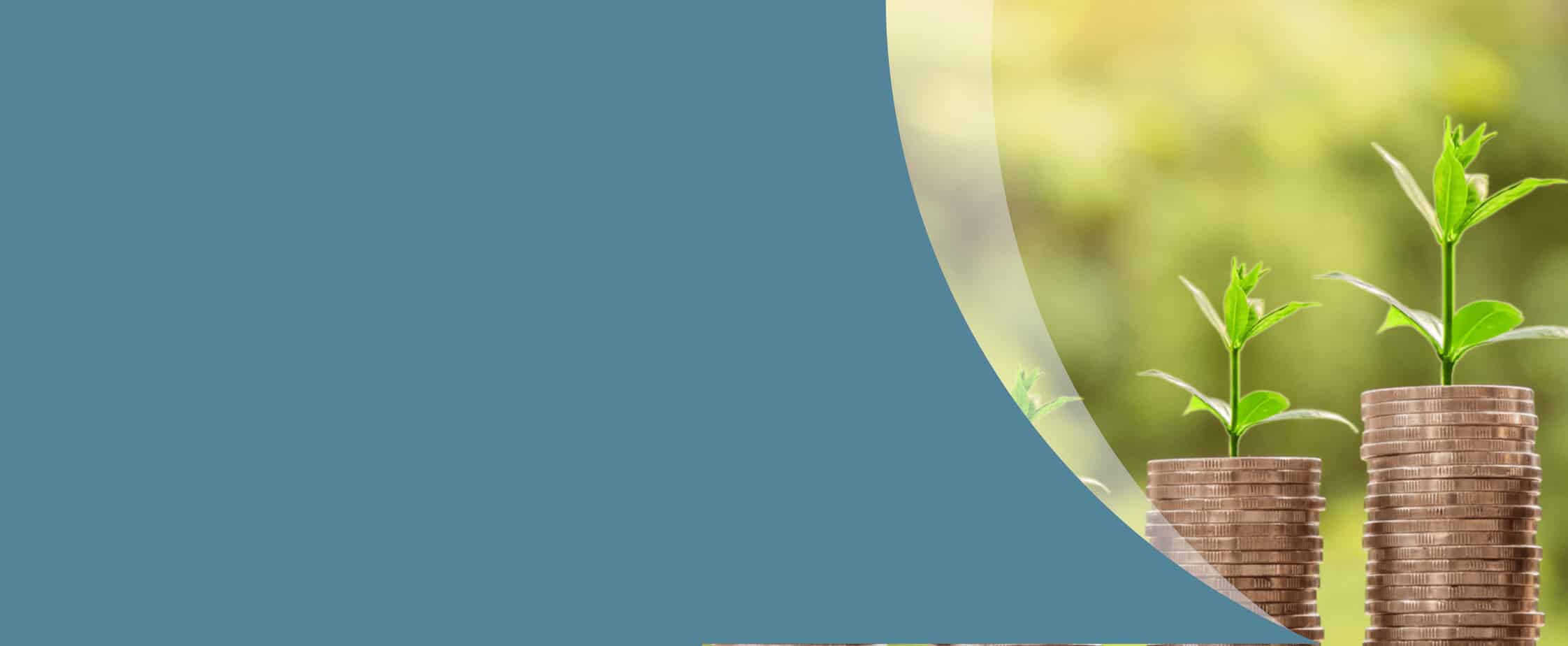 Seeking Financial Advice Information Planned Future